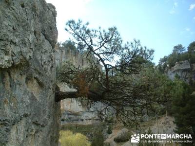 Cañón de Río Lobos - trekking; lugares con encanto; alto tajo